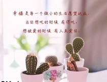 总裁溺宠我——d820