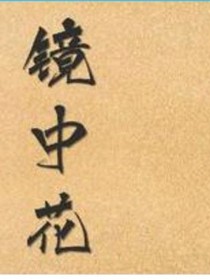 镜上花