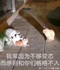 旁白大作战