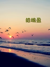 皓魄盈