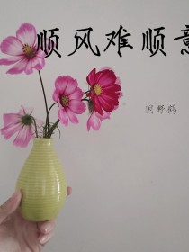 顺风难顺意