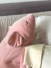 萌宝之旅