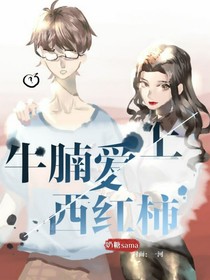 牛腩爱上西红柿