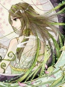 重生毒妃之紫玲传奇