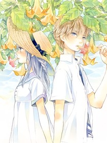关于你我的夏天