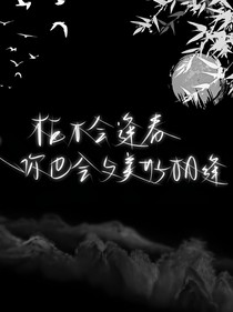 这个杀手有点暖