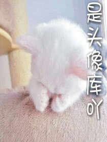 是頭像庫吖