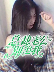 总裁老公别追我