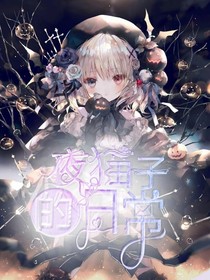 夜猫子的日常