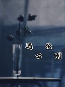 逃亡法则