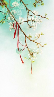 白茶