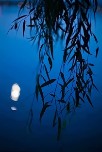 拄杖无时夜叩门