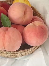白桃味的夏天
