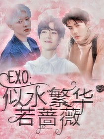 EXO：似水繁华若蔷薇