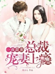 墨少的追妻