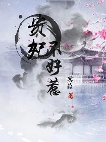 贵妃不好惹