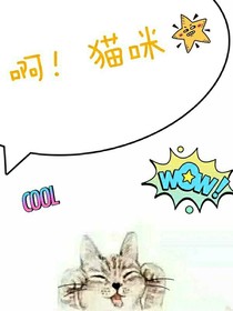 啊！猫咪