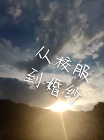 我和他从校服到婚纱