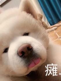 快穿之卑微改剧