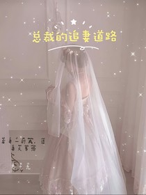 总裁的追妻道路-d420
