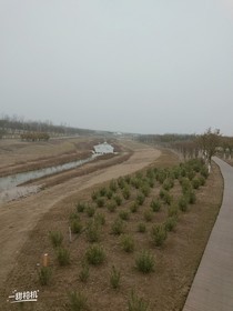 我的生活经历