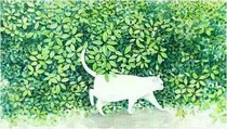 初见与再见