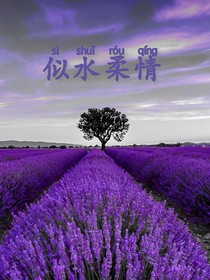 似水柔情