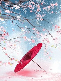 揽月谣