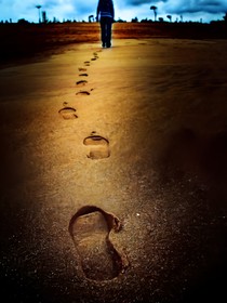 我的路我自己走——d010