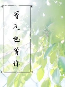 林深时见鹿：等风也等你！