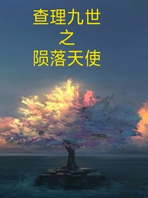 查理九世之陨落天使