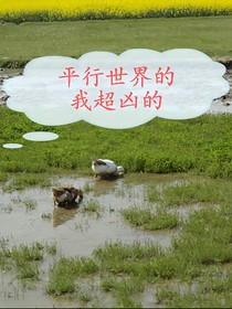 平行世界的我超兇的