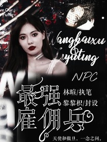 NPC：最强雇佣兵——d833