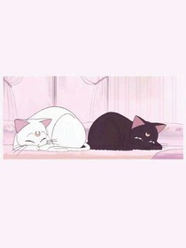 蛋糕和你都很甜