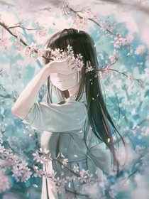 夏之声