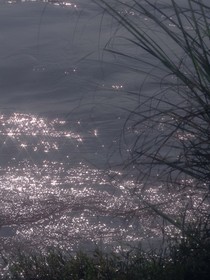 风靡