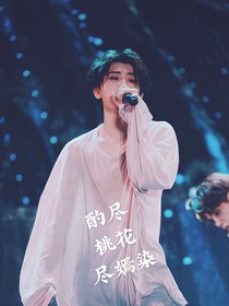 酌盡桃花盡嫣染