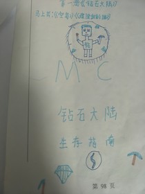 我的世界鉆石大陸