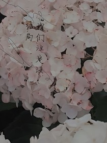 我们注定没结局