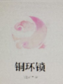 銅環(huán)鎖