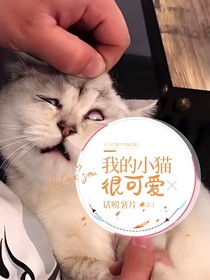 我的小猫很可爱