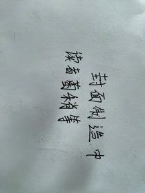 系统你个麻瓜
