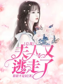 總裁，夫人又逃走了