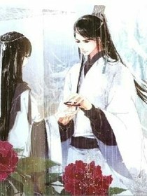 穿越之我当上王妃了