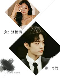 重生之肖戰(zhàn)夫人