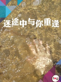 迷途中與你重逢