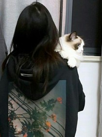 Q咿咿呀呀呀