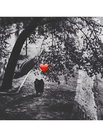 品尽人生百态——甜