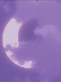 未莫如枫