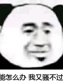 閣下星辰不可及